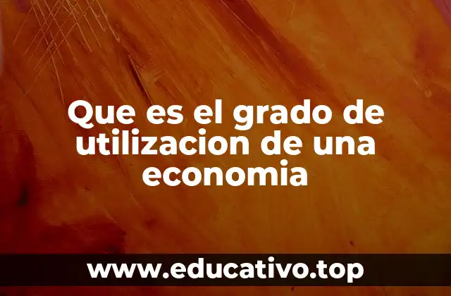 Que es el grado de utilizacion de una economia