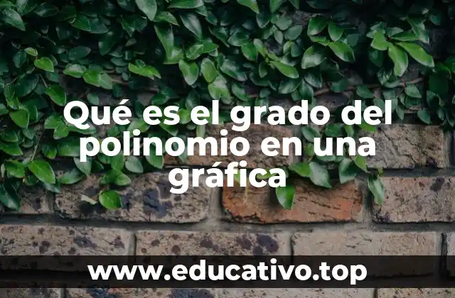 Qué es el grado del polinomio en una gráfica