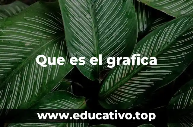 Que es el grafica