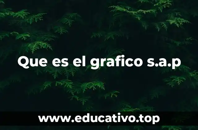 Que es el grafico s.a.p
