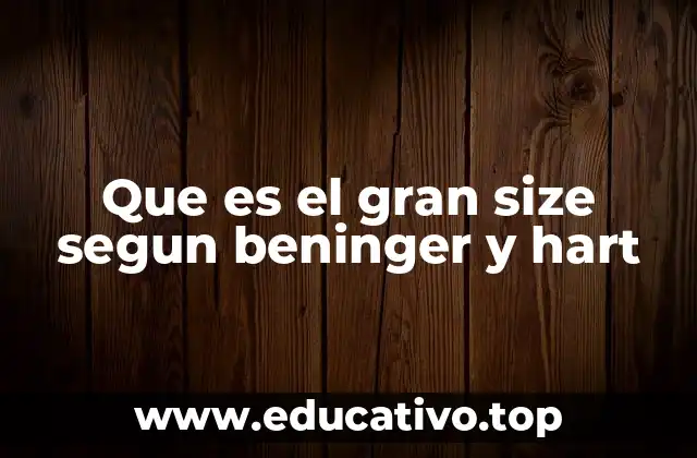 Que es el gran size segun beninger y hart