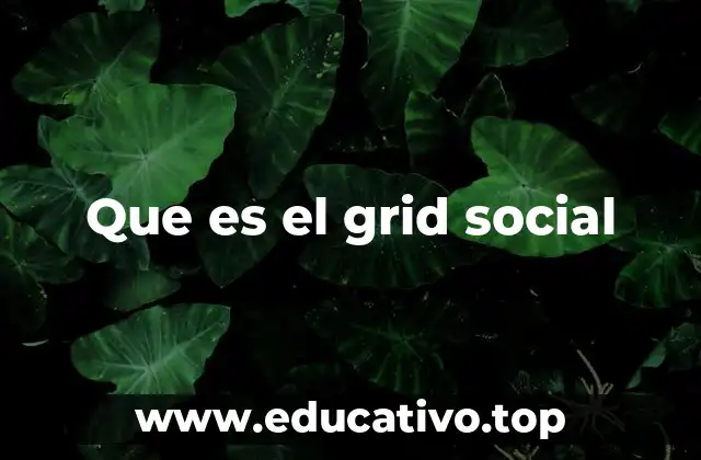 Que es el grid social