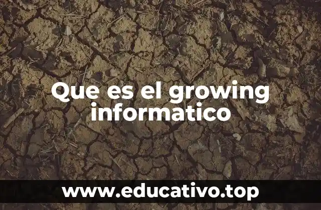 Que es el growing informatico