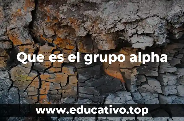 Que es el grupo alpha