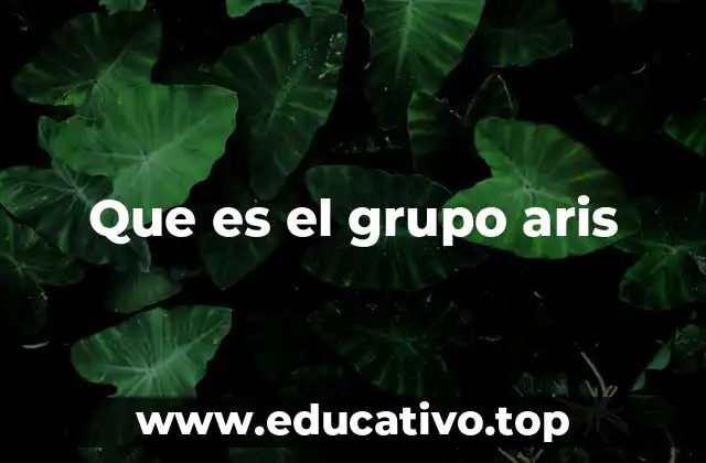 Que es el grupo aris