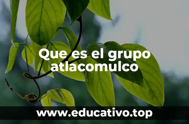 Que es el grupo atlacomulco