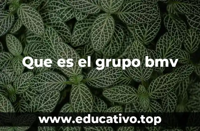 El Grupo BMV y su relevancia en el sistema financiero nacional