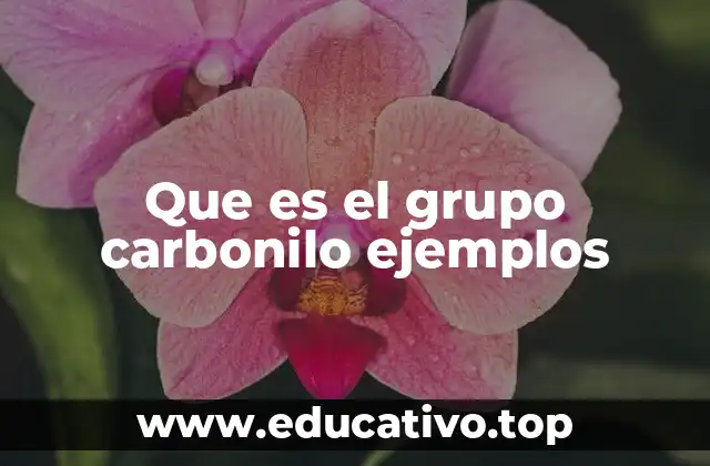 Que es el grupo carbonilo ejemplos