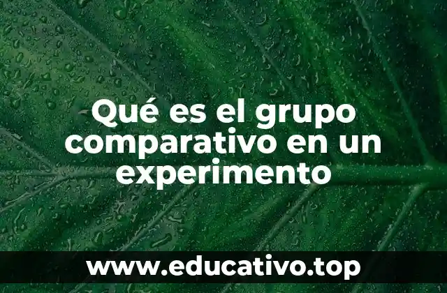 Qué es el grupo comparativo en un experimento