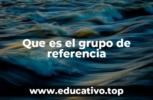 Que es el grupo de referencia