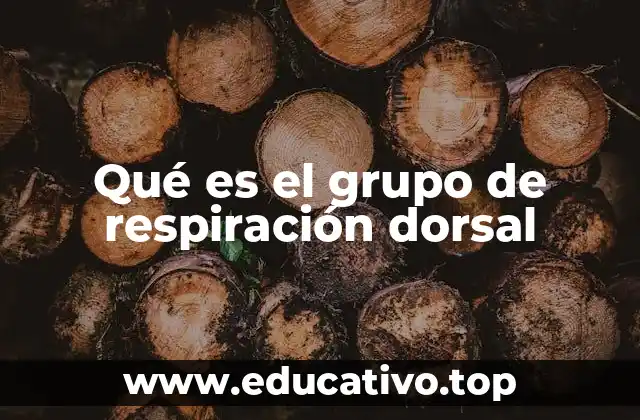 Qué es el grupo de respiración dorsal