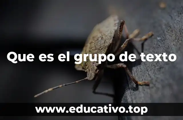 Que es el grupo de texto