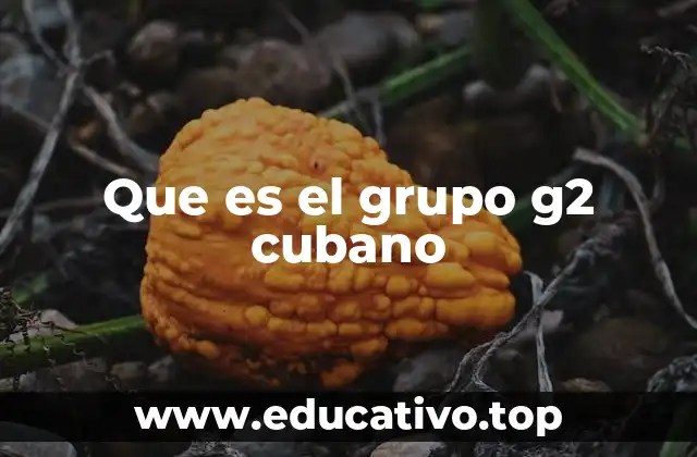 Que es el grupo g2 cubano