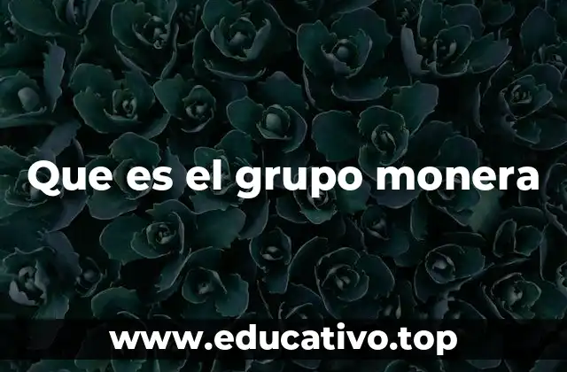 Que es el grupo monera