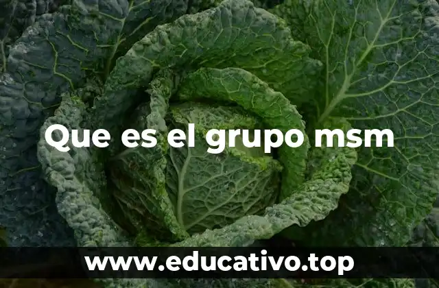 Que es el grupo msm