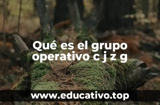 Qué es el grupo operativo c j z g