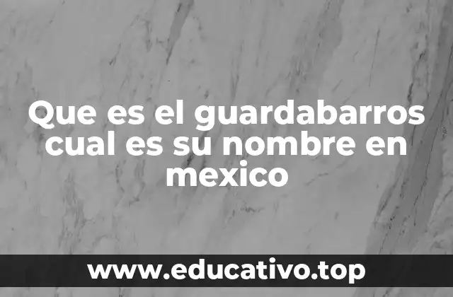 Que es el guardabarros cual es su nombre en mexico