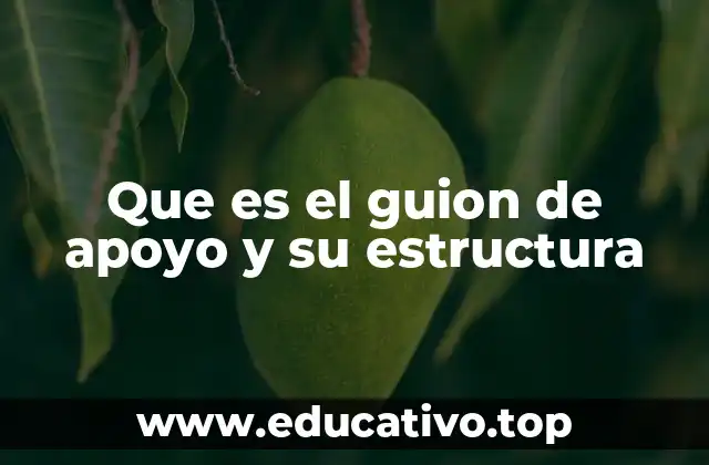 Que es el guion de apoyo y su estructura