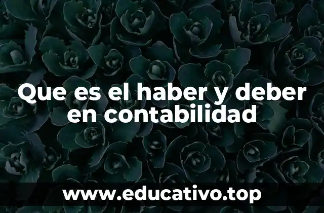 Que es el haber y deber en contabilidad