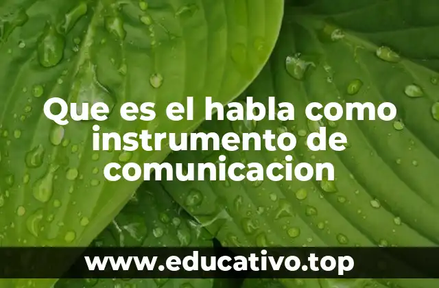 Que es el habla como instrumento de comunicacion