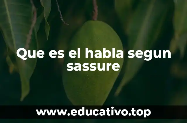 Que es el habla segun sassure