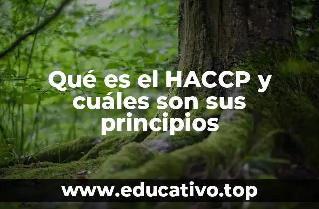 Qué es el HACCP y cuáles son sus principios