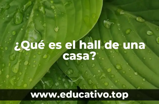 ¿Qué es el hall de una casa?