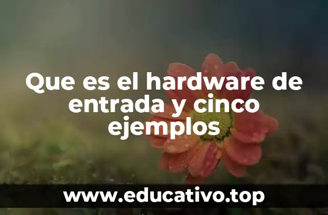 Que es el hardware de entrada y cinco ejemplos