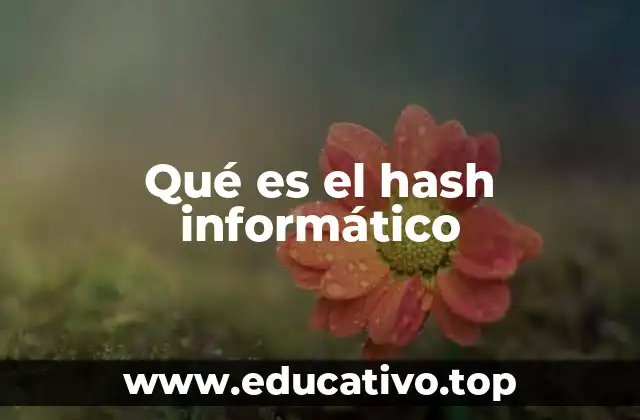 Funciones y aplicaciones de los hashes en la informática