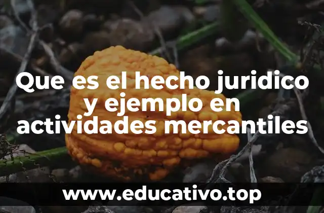 Que es el hecho juridico y ejemplo en actividades mercantiles
