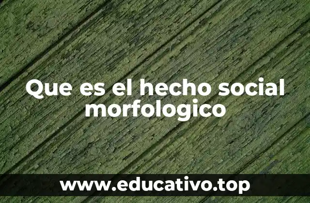 Que es el hecho social morfologico