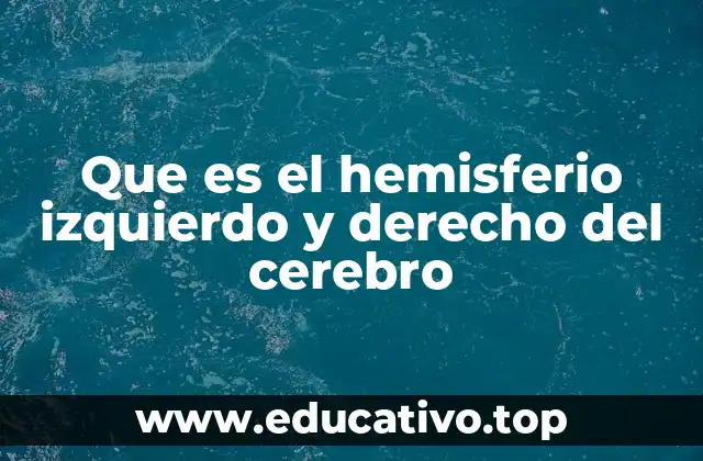 Que es el hemisferio izquierdo y derecho del cerebro