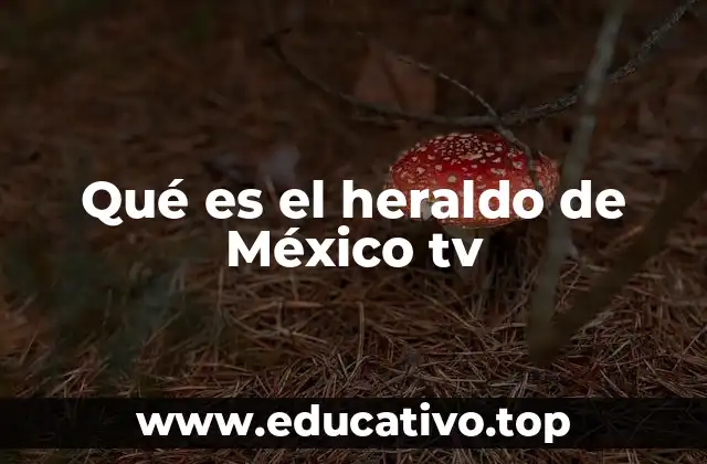 Qué es el heraldo de México tv