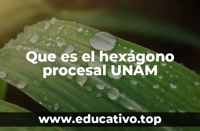 Que es el hexágono procesal UNAM