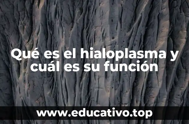 Qué es el hialoplasma y cuál es su función