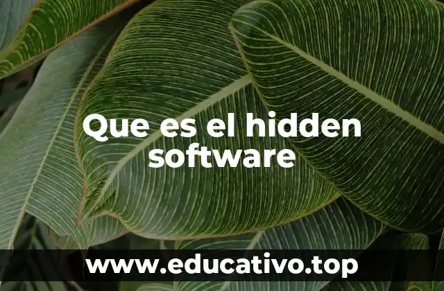 Que es el hidden software