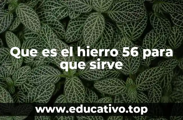 Que es el hierro 56 para que sirve