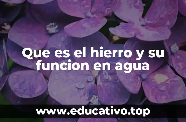 El impacto del hierro en los sistemas acuáticos