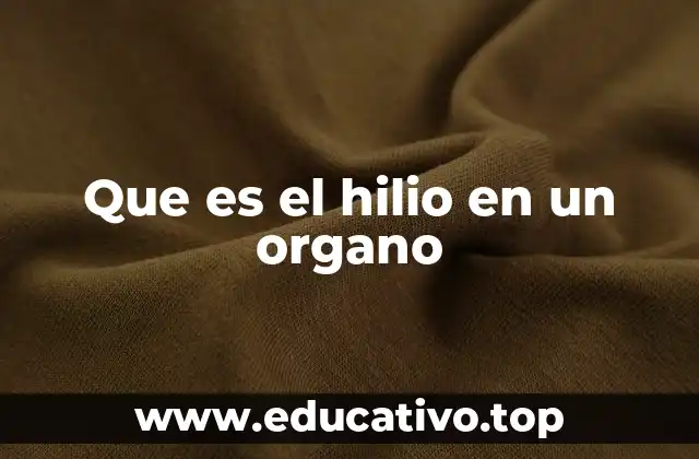Que es el hilio en un organo