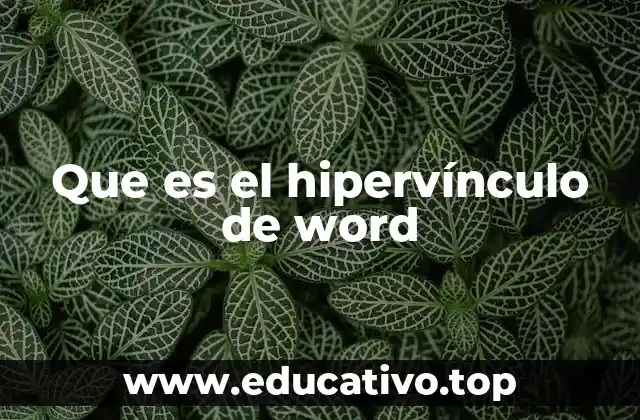 Que es el hipervínculo de word