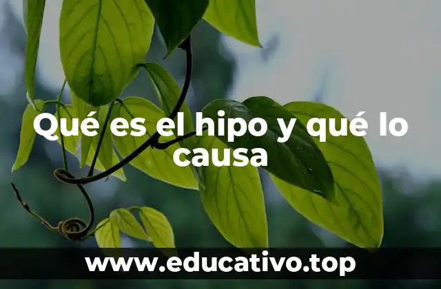 Qué es el hipo y qué lo causa