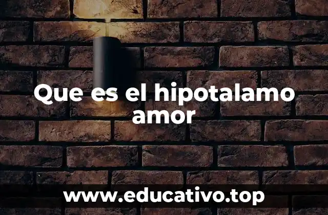 Que es el hipotalamo amor