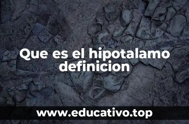 Que es el hipotalamo definicion
