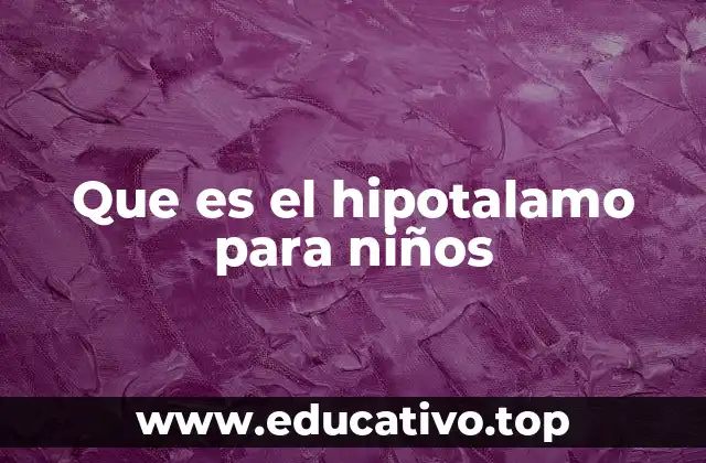 Que es el hipotalamo para niños