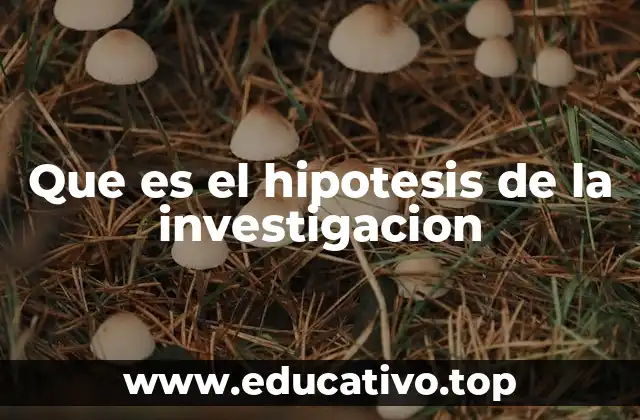 Que es el hipotesis de la investigacion