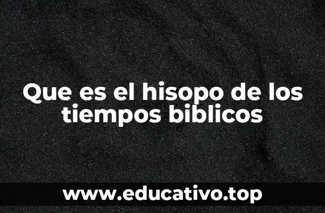 Que es el hisopo de los tiempos biblicos