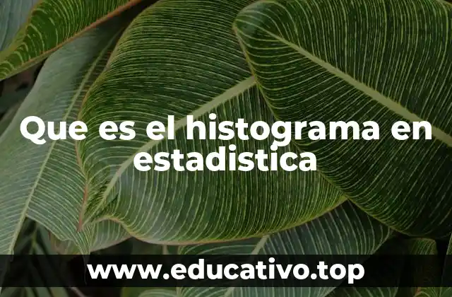 Que es el histograma en estadistica