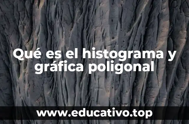 Herramientas visuales para el análisis de distribuciones de datos