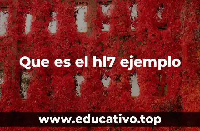 Que es el hl7 ejemplo