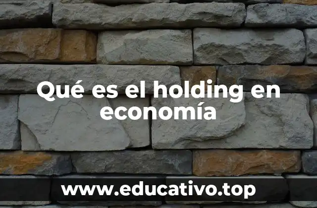 Qué es el holding en economía